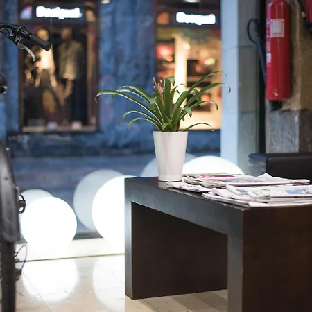 Hotel Petit Palace Arana