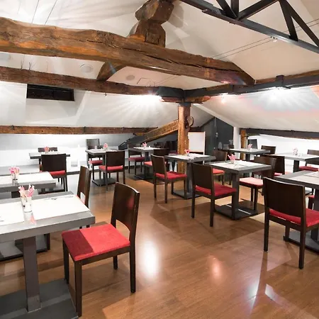 Hotel Petit Palace Arana 3*