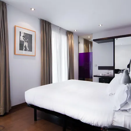 호텔 Petit Palace Arana 3*