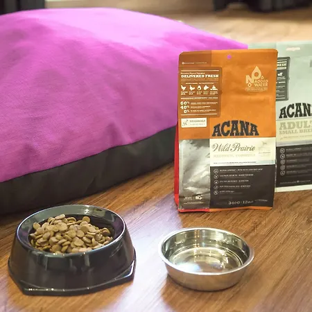 Petit Palace Arana Hotel