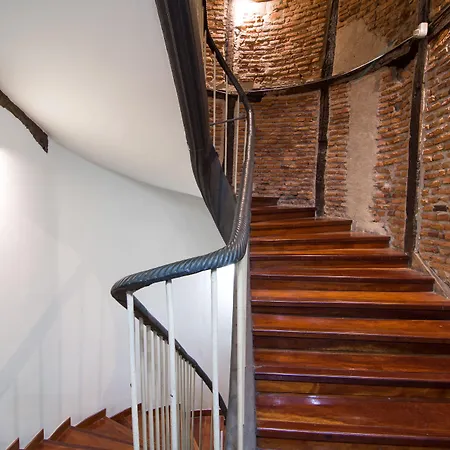 호텔 Petit Palace Arana 3*