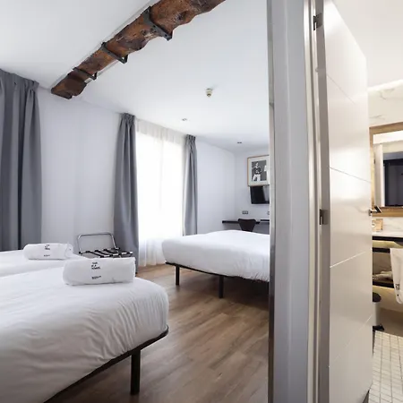 호텔 Petit Palace Arana