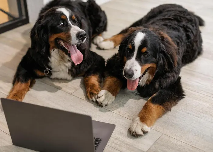 毕尔巴鄂高科技酒店