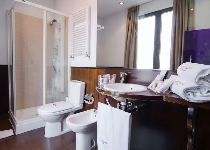 Petit Palace Arana Otel 3*