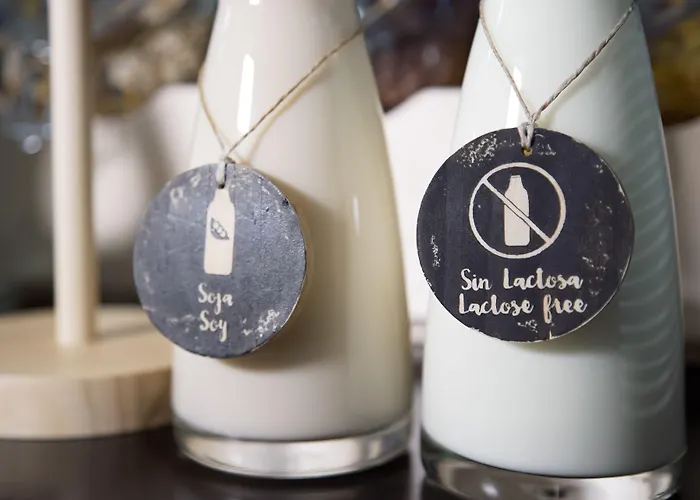 Petit Palace Arana Otel