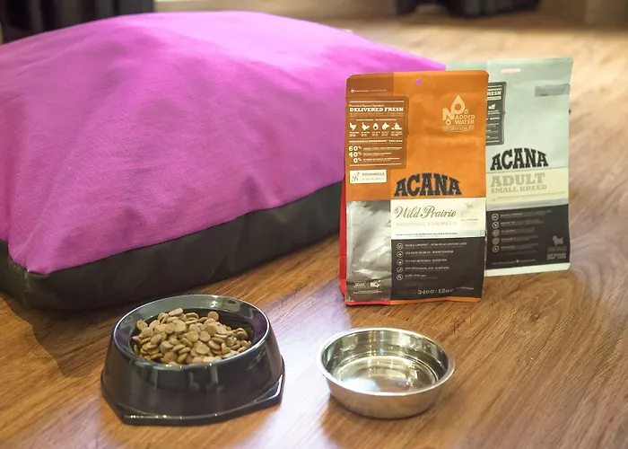 Petit Palace Arana מלון